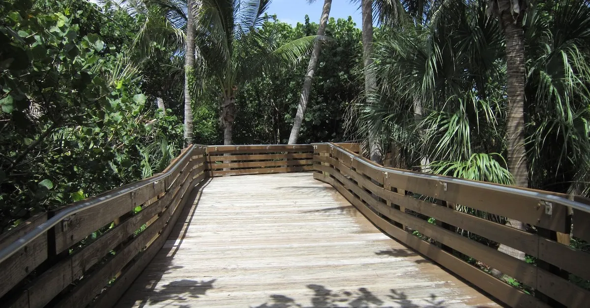 Mountain bike trail in nature park near West Palm Beach, ideal to rent a bike in Florida and discover its wildlife
